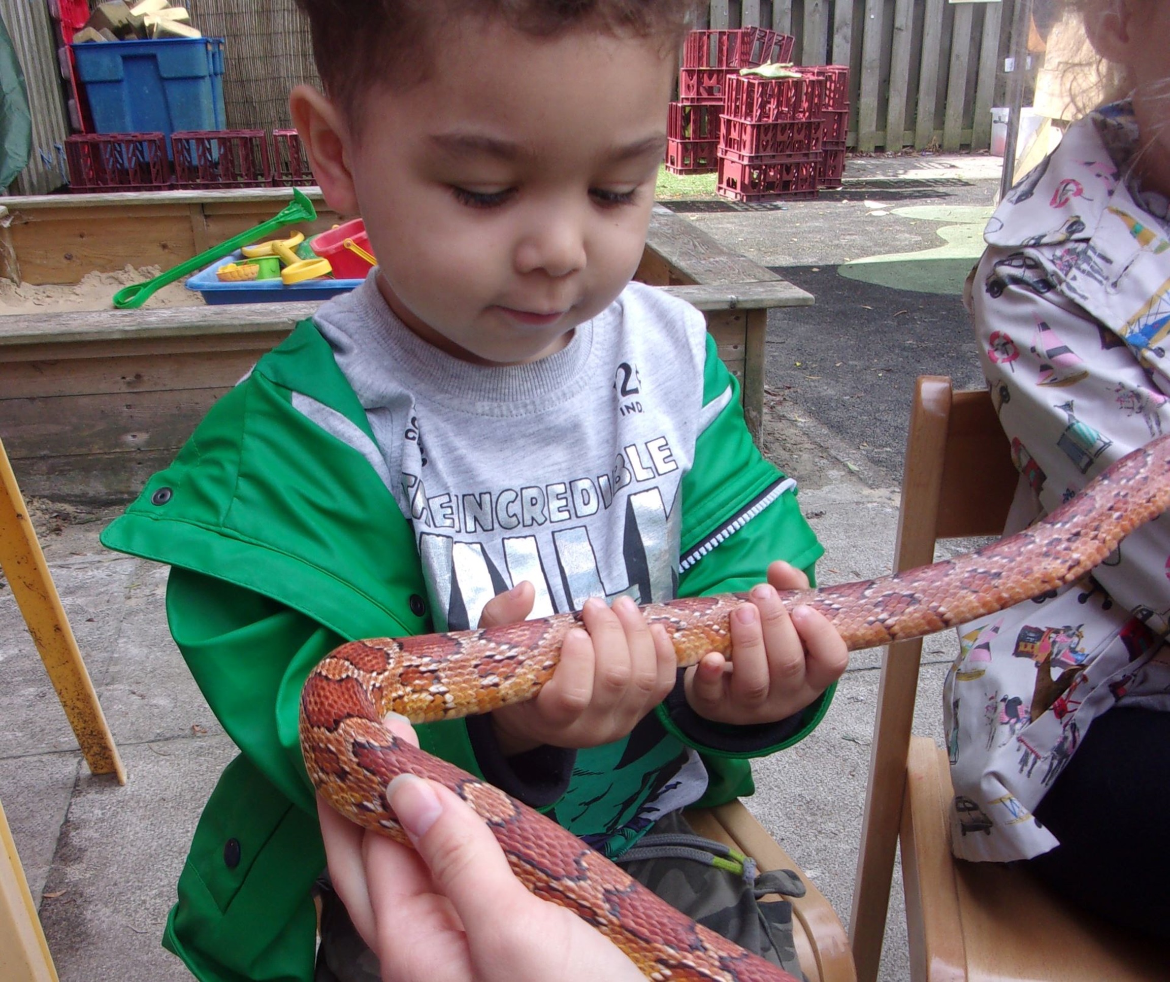 Crewe nursery children embrace Zoolab visit