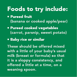 Foods to try include: 1. pureed fruit (banana or cooked apple/pear). 2. Pureed cooked vegetables (carrot, parsnip, sweet potato). 3. Baby rice or similar. These should be offered mixed with a little of your baby's usual milk (breast or formula) so that it is a sloppy consistency, and offered a little at a time, on a weaning spoon.