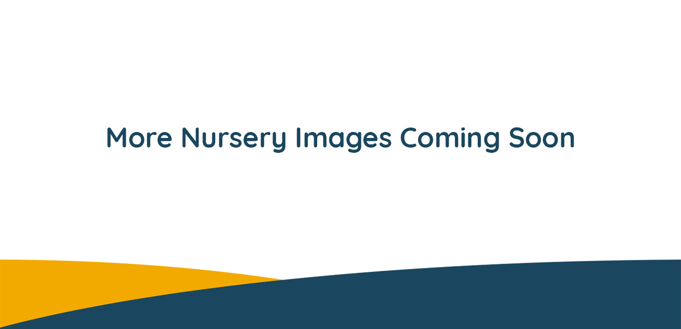 Hove Day Nursery and Preschool in Hove, East Sussex Bright Horizons