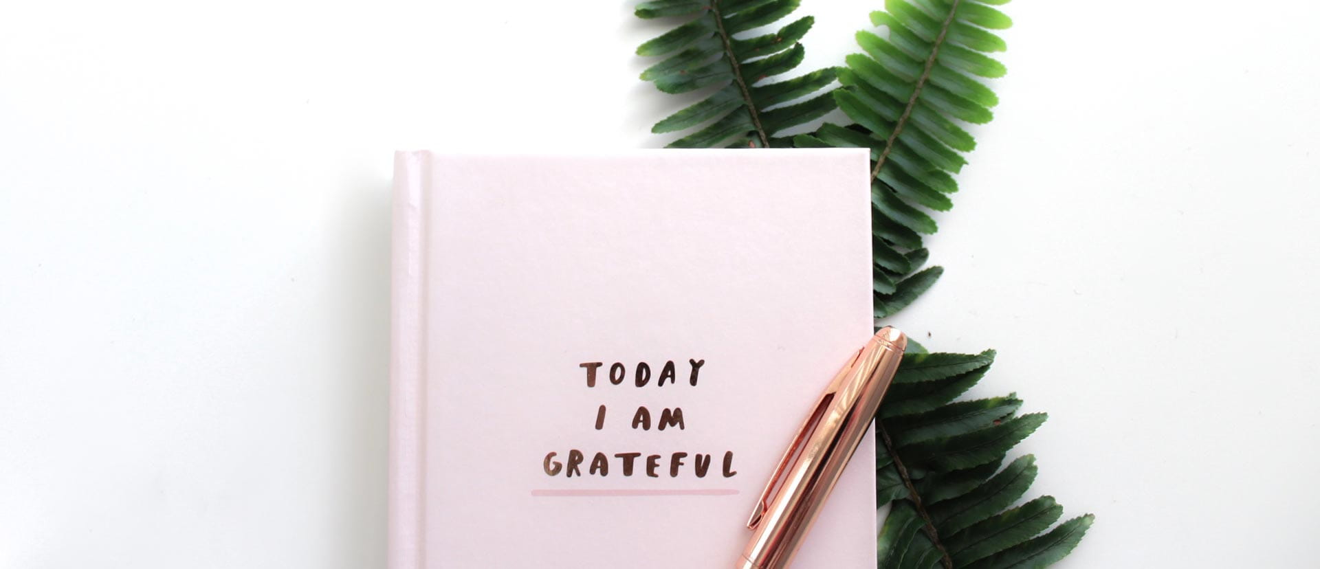 Giving thanks - How Gratitude Can Make Us Happier